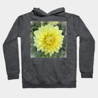 Dahlia Bloom Of Soft Yellow Hoodie